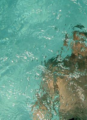 Swim-1.jpg