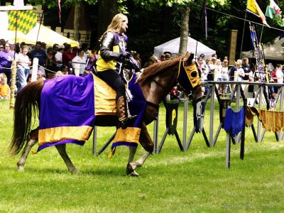 Jousts 01.jpg