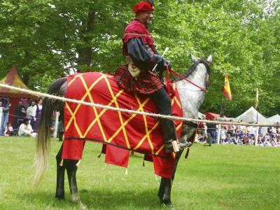 Jousts 02.jpg