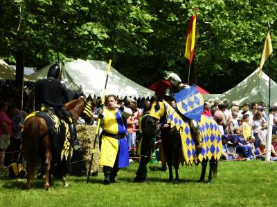 Jousts 05.jpg