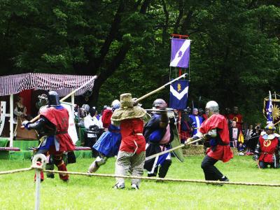 u47/demorcan/medium/30474371.Melee2.jpg