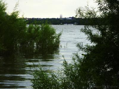 Wetland 01.jpg
