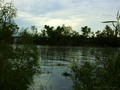 Wetland 07.jpg