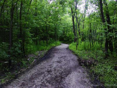Path Back Out.jpg