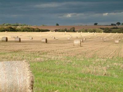 Straw Bales089 copy2.jpg