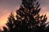DSC_7605_sunset.jpg