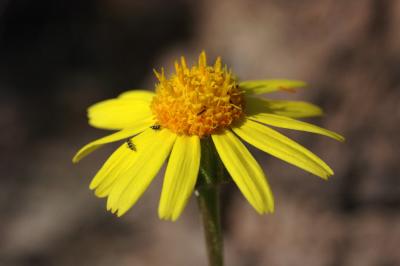 BBNP032.jpg