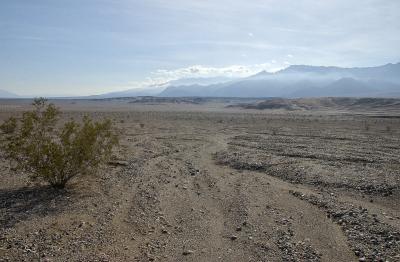 u47/dgrosser/medium/30228323.DeathValleyImg0240.jpg