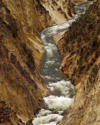 Grand Canyon of the Yellowstone 1w.jpg