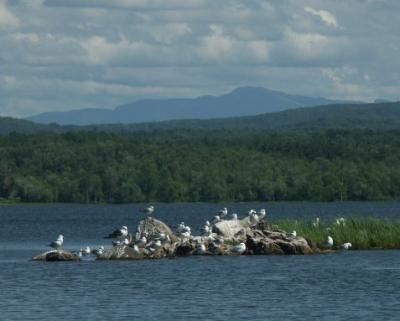 Gullagulla Island