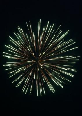 u47/donutrun/medium/30934581.1agreenburst.jpg