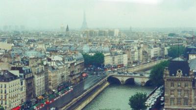 A view of Paris and the Seine River from the Tower of the Cathedral of Notre Dame. The Eiffel Tower is in the background.