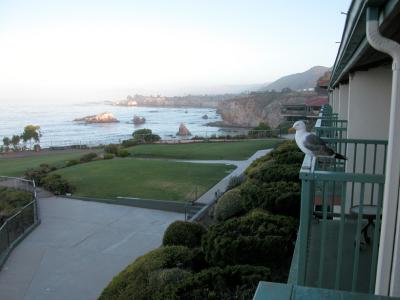 View from our balcony at Shore Cliff Lodge, Pismo Beach, CA