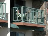 Laurie reading a children's book on the balcony at Shore Cliff Lodge.