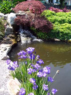 Norfolk Botanical Gardens, June 2004