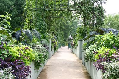 Quiet walkway