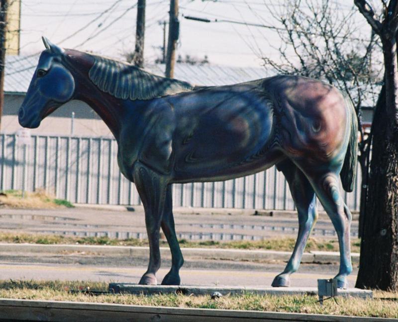 Psychadelic Horse