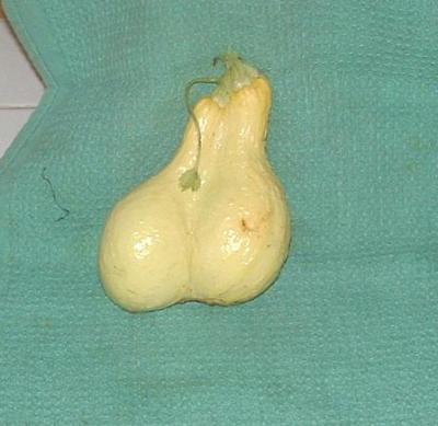 twinsquash.JPG