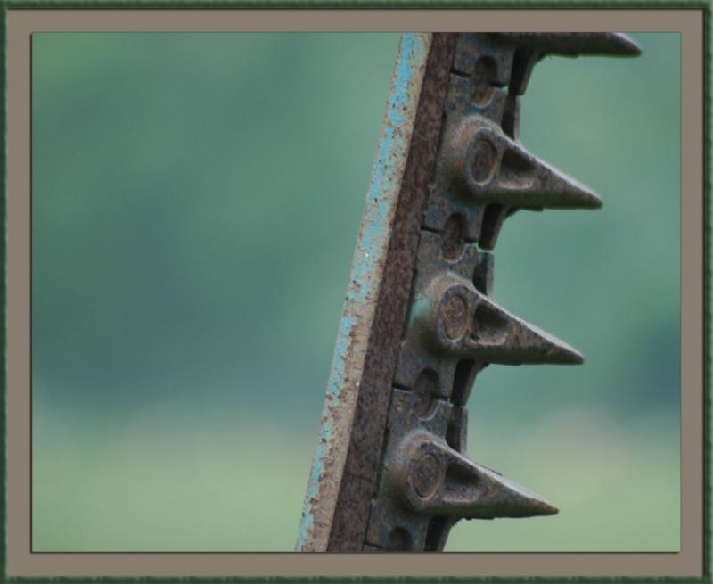 6-26-04c - Old Teeth
