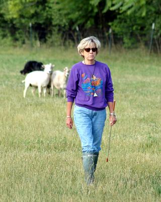 I really do hate those sheep.