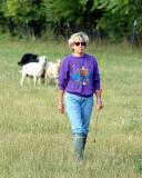 I really do hate those sheep.