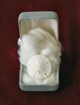 u47/dwinge/medium/30874133.PICT0007B2.jpg
