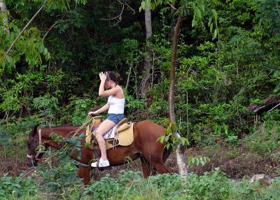 u47/elif/medium/30607728.JungleTrailRide.jpg