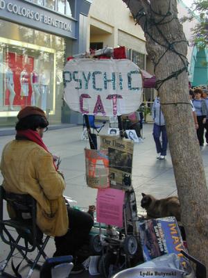 psychic cat
