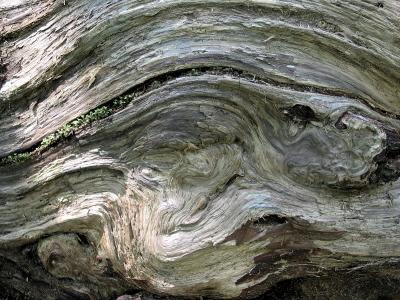 Wood Pattern