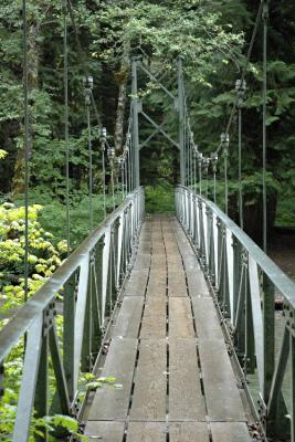 Bridge