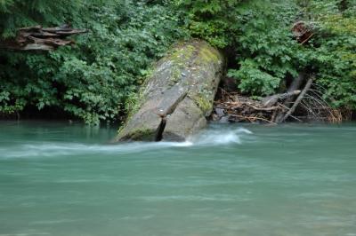 Log In River