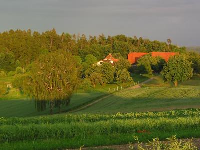 Farmland in Sunset