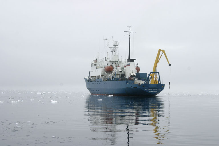 Akademik Shokalskiy 9117