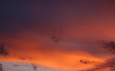 Sunset Shades.