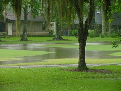 A little Rain - A Golf Lake