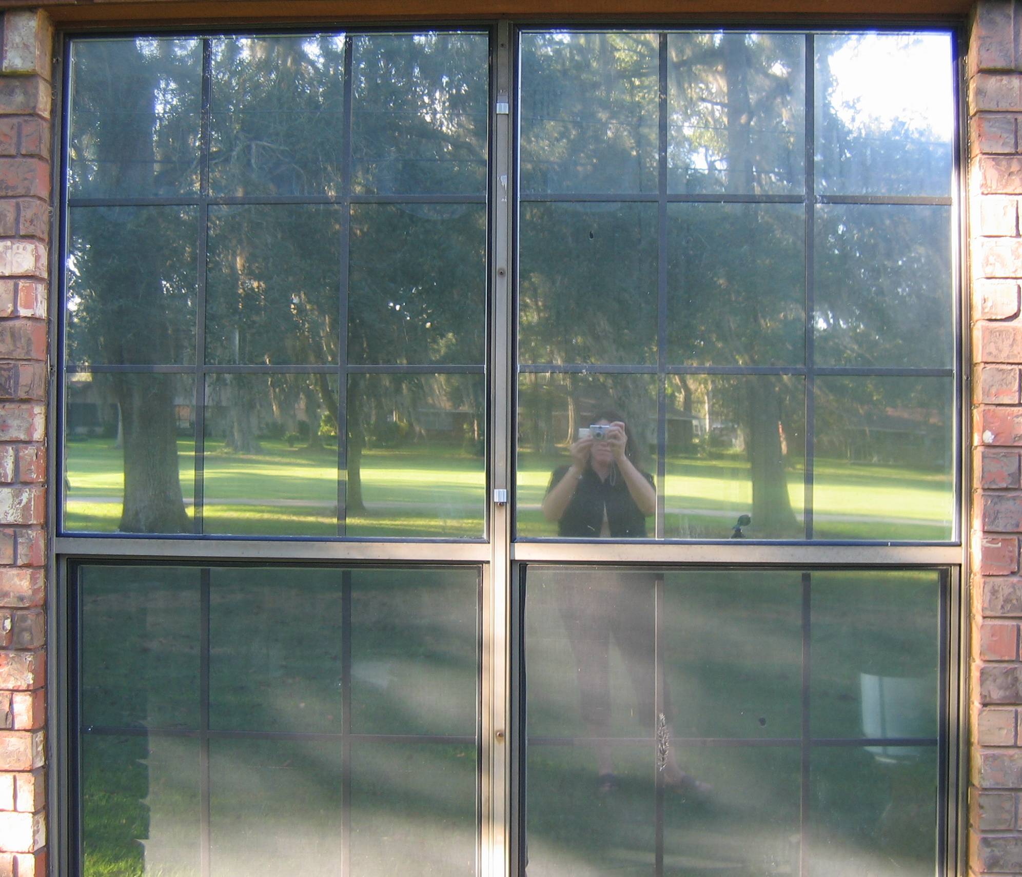 Self Portrait and View