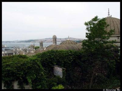 View of Bosphorus and the cascading domes of the Suleymaniye Mosque