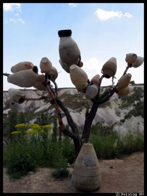 Tree of life -- display of regional potteries