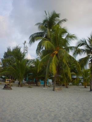 Tela beach