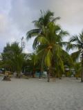 Tela beach