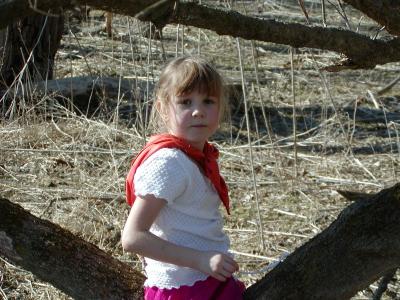 kyra-on-tree.JPG