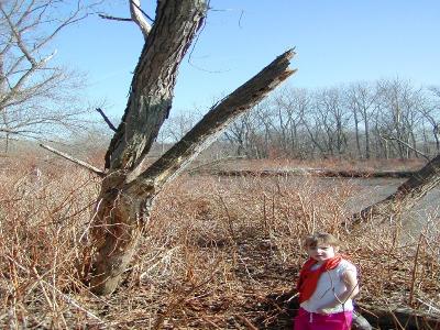 kyra-woodpecker-tree.JPG