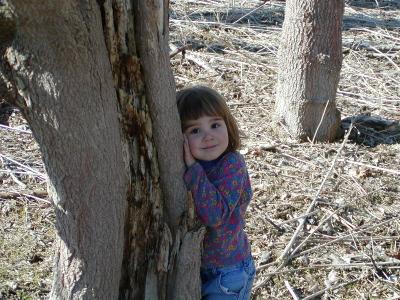 u47/fhludlow/medium/30130191.theabytree2.jpg