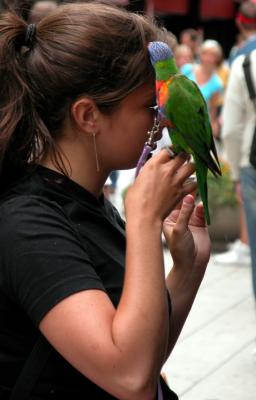 flicka och papegoja