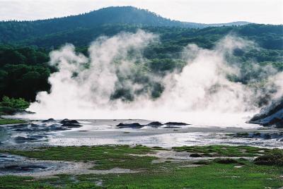 u47/florapong/medium/30254230.F1120035.jpg