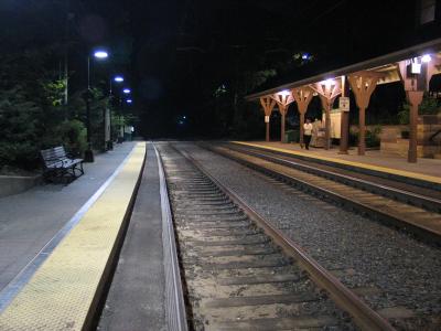 Into the Night