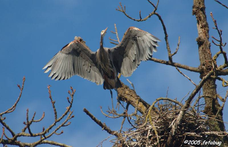 D70-2005-03-09_077.jpg