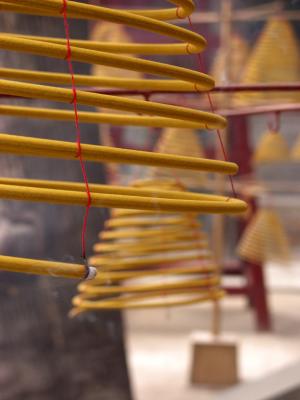 A spiral shaped incense hanging from a tree in the Eight Famous Sights Park outside Beijing, China