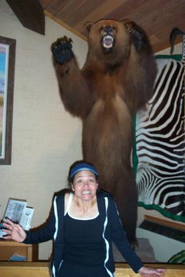 Grizzly Bear seen in Wyoming, (with stuffed animal in background)