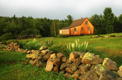 Shed in Summer